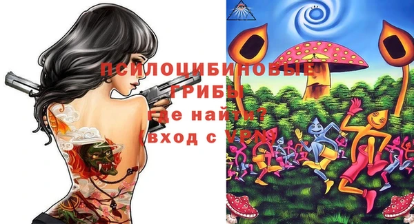 метамфетамин Белокуриха