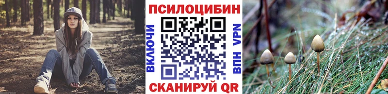 Псилоцибиновые грибы прущие грибы  Сердобск 
